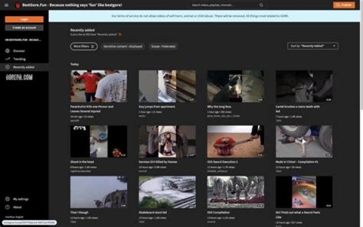 Discover the Best Bestgore Alternatives for Shocking Content