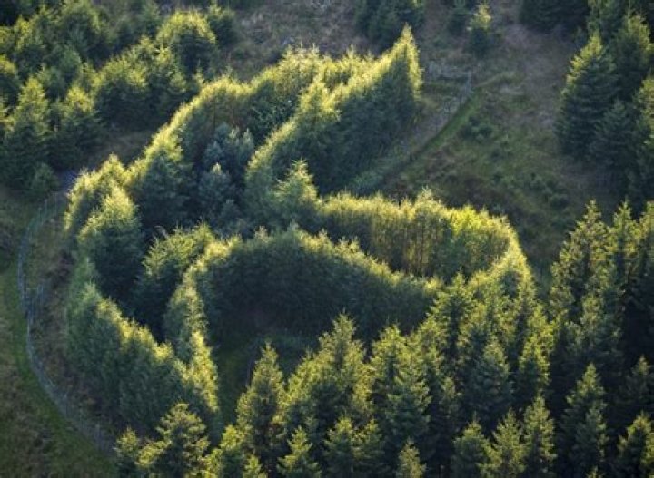 Discoveries From Valeria Emiliani's Pioneering Work