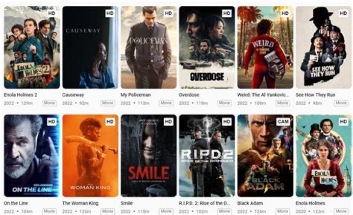 Exploring HDHub4u South: Your Ultimate Guide to Streaming and Downloading Movies