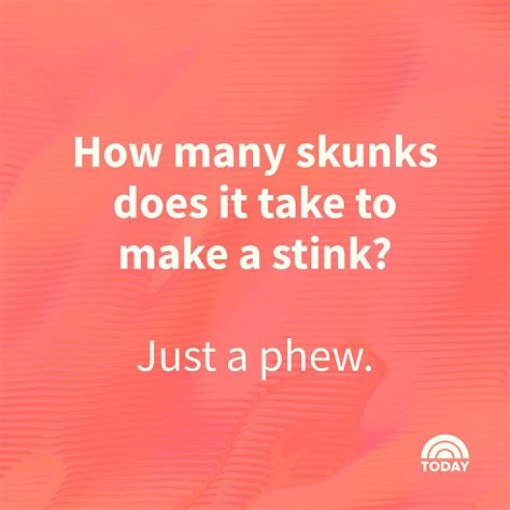 Fat Jokes to Make Someone Cry: The Impact of Humor on Body Image