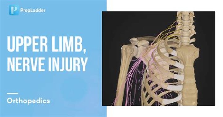 Understanding the Jersey Jon Limp Injury: Causes, Recovery, and Impact