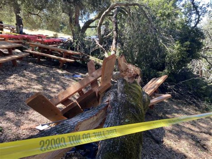 VibeJolt | Carl Steven (TV Actor)